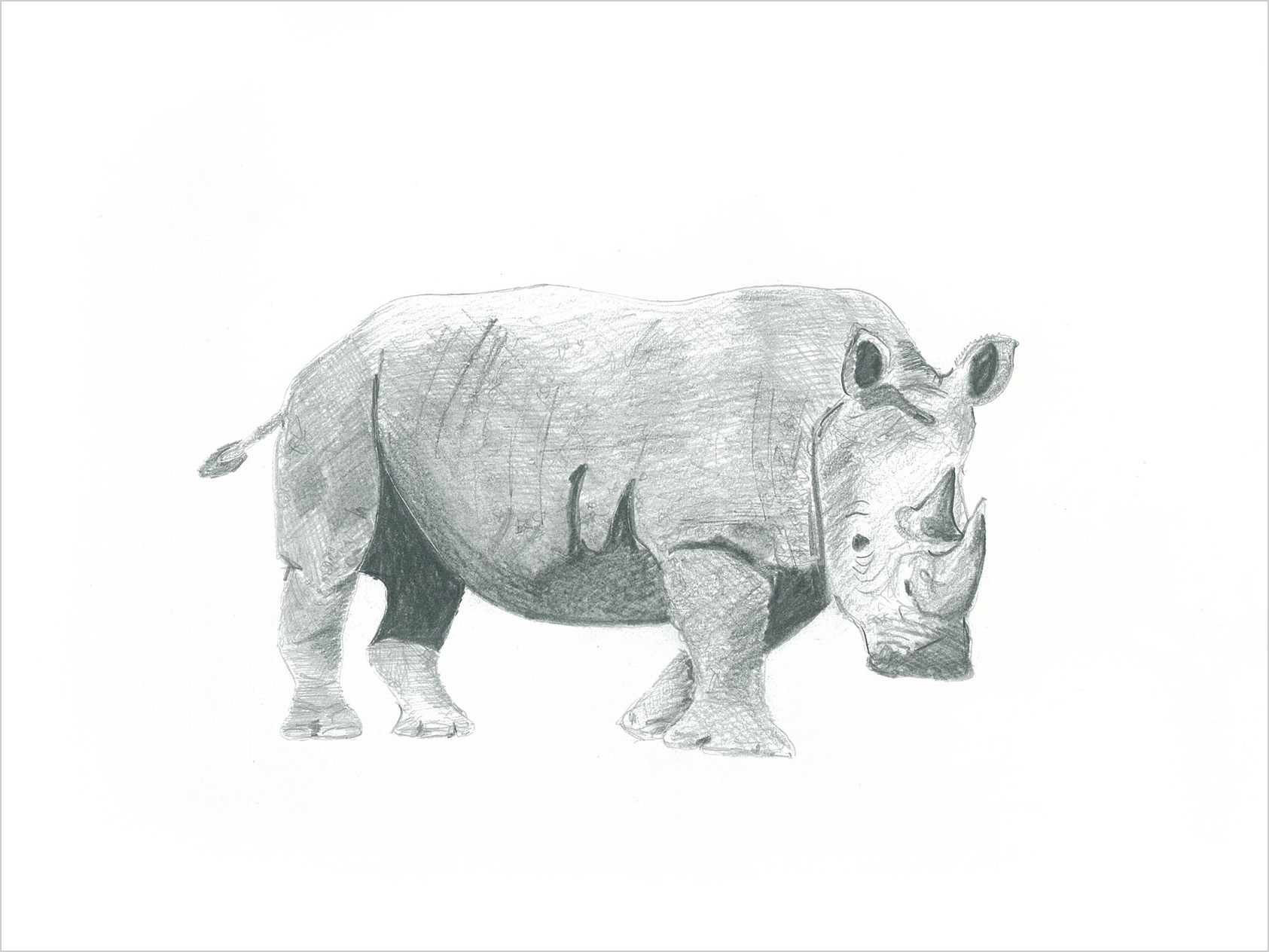rhino 6 single line font